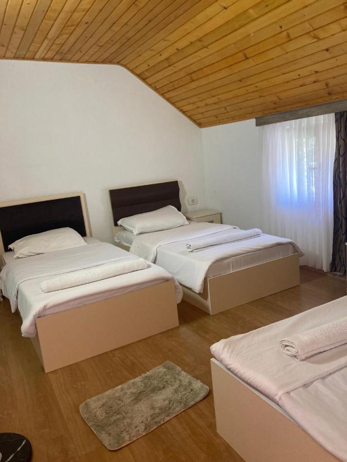 Bujtina Arturi Hotell Valbone Eksteriør bilde